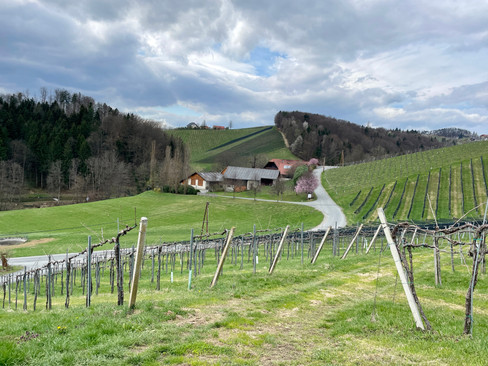 Südsteiermark, Weinwanderweg, Social Media Boutique, Sonja Parapatits, Kathi Wiltschnig 