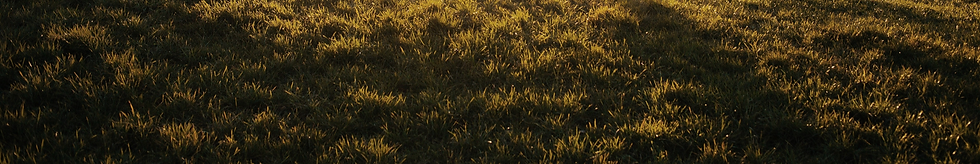 Countryside Sunset Scene_edited.png