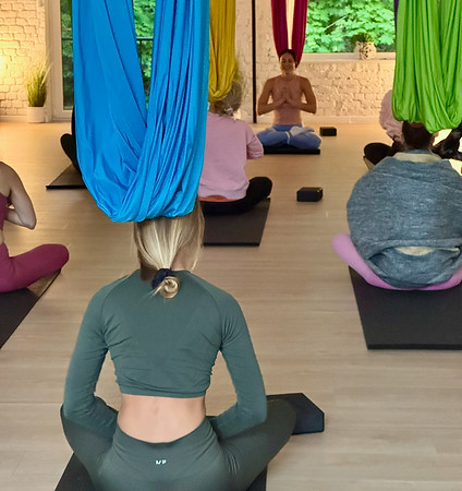Live International Camiyogair yin restorative aerial yoga teacher training course ttc with