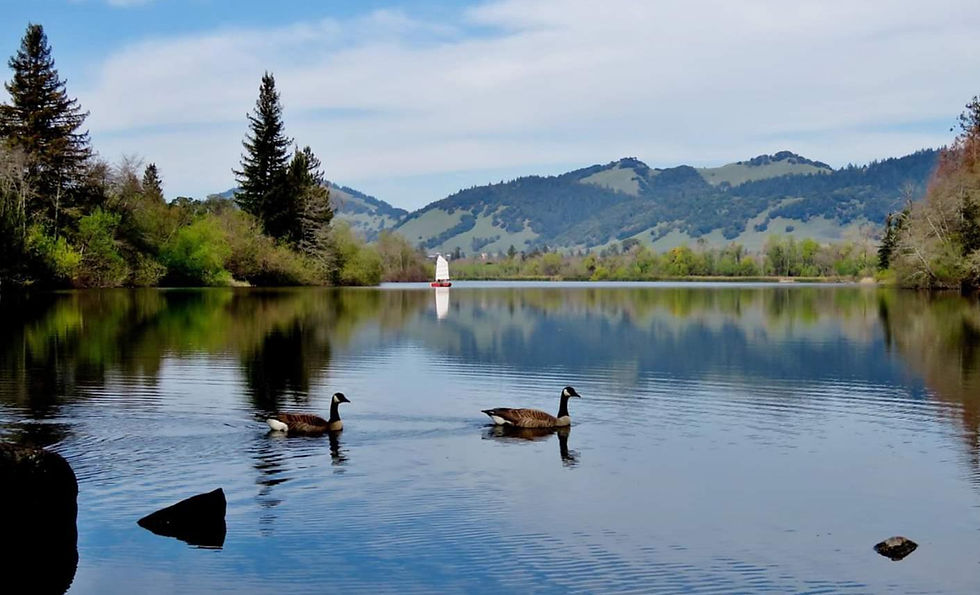 Unit 509 Spring Sectional