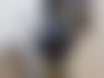 insta360pro2の使用感について