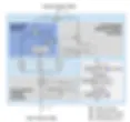 Design of the conv-attentional module