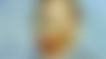 Does the language of Art has codes?
