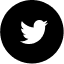 twitter share icon