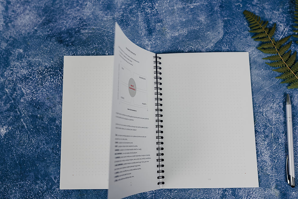 Sīktēls: Vadītāja Dienas Grāmata