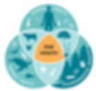 Preserving our natural capital - Plastic significantly influences all areas of the One Health framework, which considers animal, human, and environmental health as interconnected components. Any effect on one component inevitably impacts the others, both directly and indirectly. The proliferation of plastic pollution poses numerous potential threats to every dimension of global health (Morrison et al. 2022).
