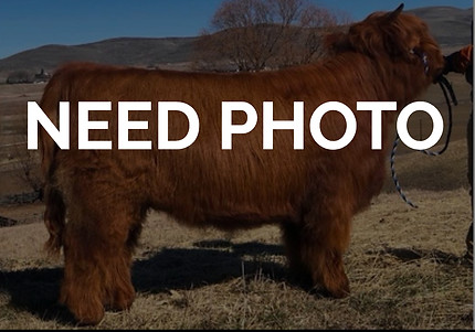 Mariead Ruadh_edited.jpg