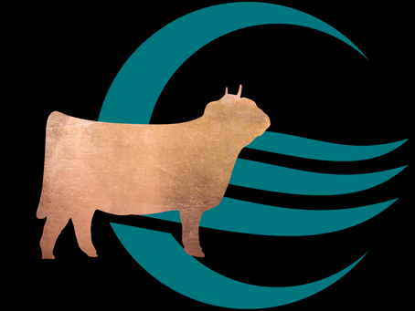 Dreams Really Do Come True!