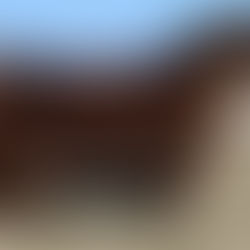 New partner on Trafalgar Killian!