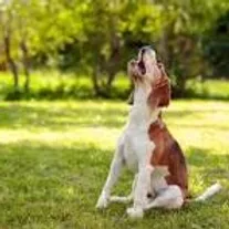 images (1).webp