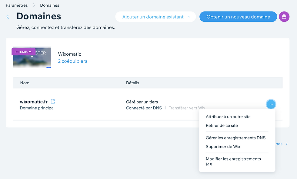 Domaine DNS Wix