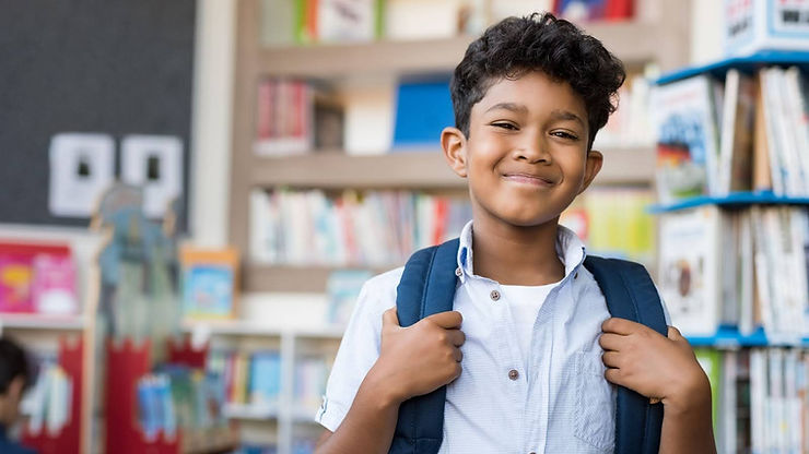 are microschools legal