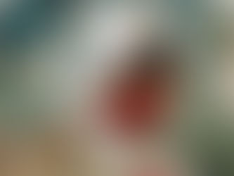 how to start a homeschool co op in Texas