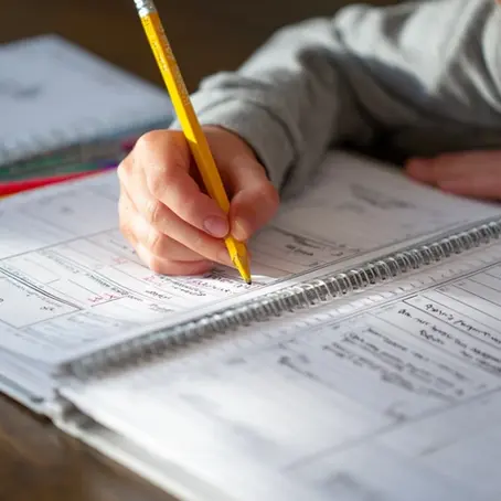 homeschool printable planner