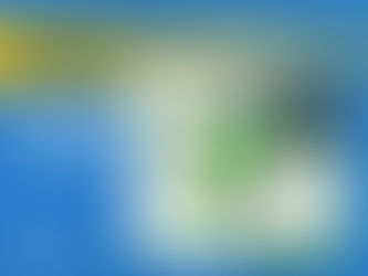 Best Car Wash Soap for Ceramic Coatings