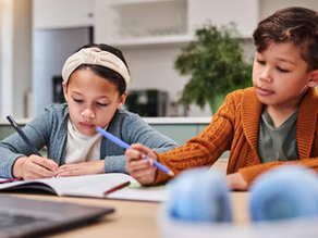 Georgia Homeschooling: Best Programs and Alternatives