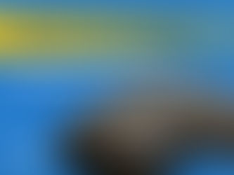 Why Does Your Car Get Dusty After Washing?