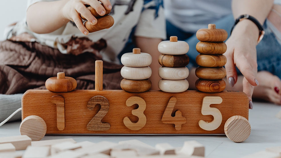 What to Include in Your Homeschool Preschool Plan?