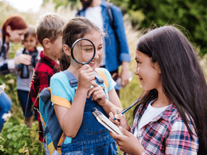 homeschool field trip ideas