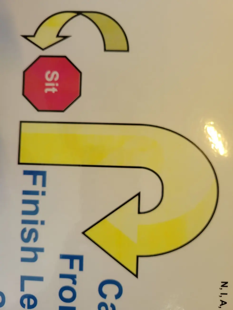 Thumbnail: MISPRINT AKC Novice Class Only Deluxe Sign Set