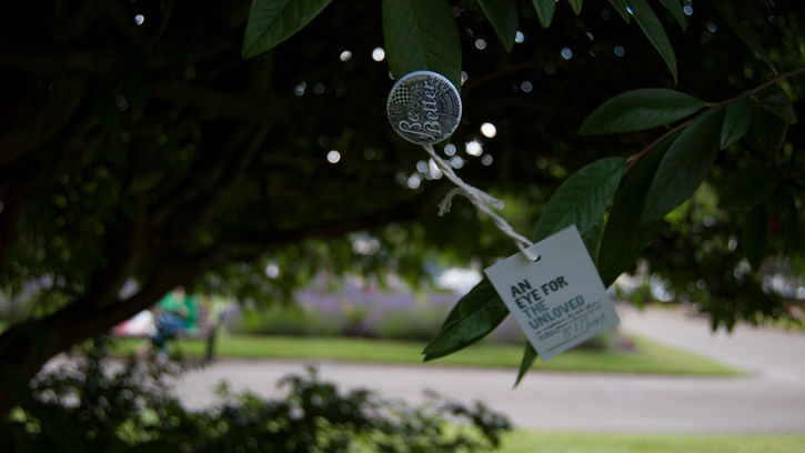 AN EYE FOR THE UNLOVED