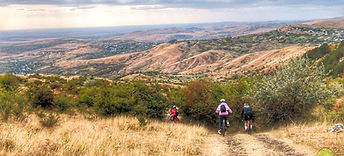 traseu-bicicleta-gura-vadului-cicloturism-dealu-mare-06_edited.jpg