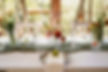Crina-37 Large.jpeg