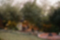 Crina-298 Large.jpeg