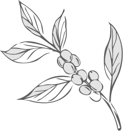 icon2.png