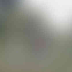 Outdoor yoga with Kamakosha Wellness