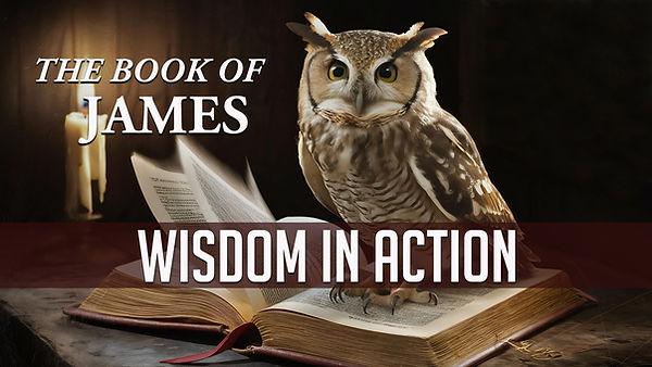 wisdom-in-action.jpeg