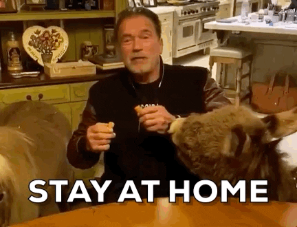 Arnold Schwarzenegger Stay At Home GIF - Find & Share on GIPHY
