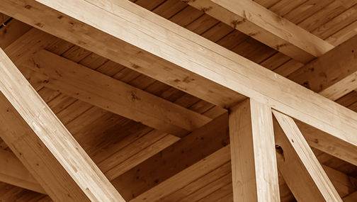 GREENFLAG advises FIPE 09 on the acquisition of assets of NP Systeme