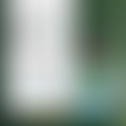 🟢⚪️Heimspiel gegen Windischgarsten 🔵⚪️