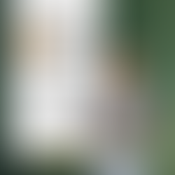 🔜Spitzenspiel in Neuhofen‼️