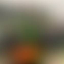 Nachwuchsnews 🟢⚪️