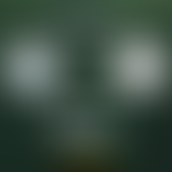 Ergebnis Bezirksliga Süd - Runde 5