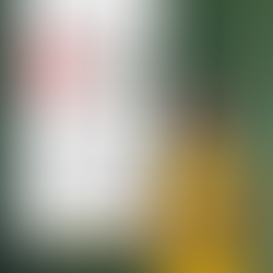 🟢⚪️Vorschau Wochenende🟢⚪️