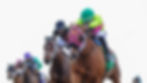 3837EE3B-39DE-4E6C-A932-72877EAE9940_edited.jpg