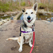 Kita