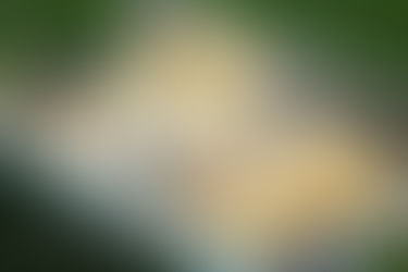 Interior Top Off Layouts 45s