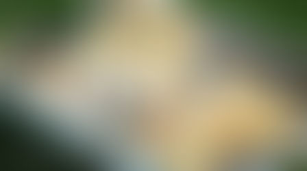 Interior Top Off Layouts 45s