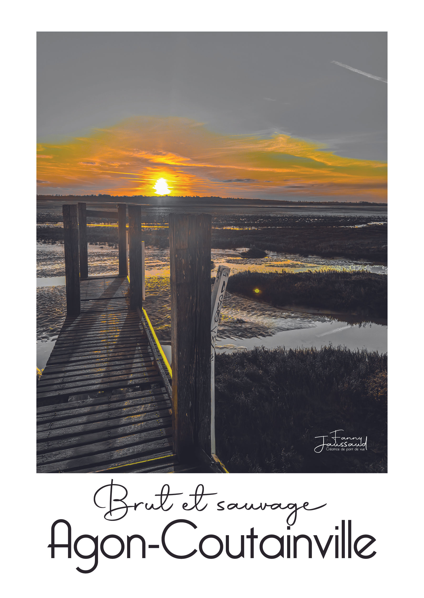 Affiche Agon Brut et sauvage