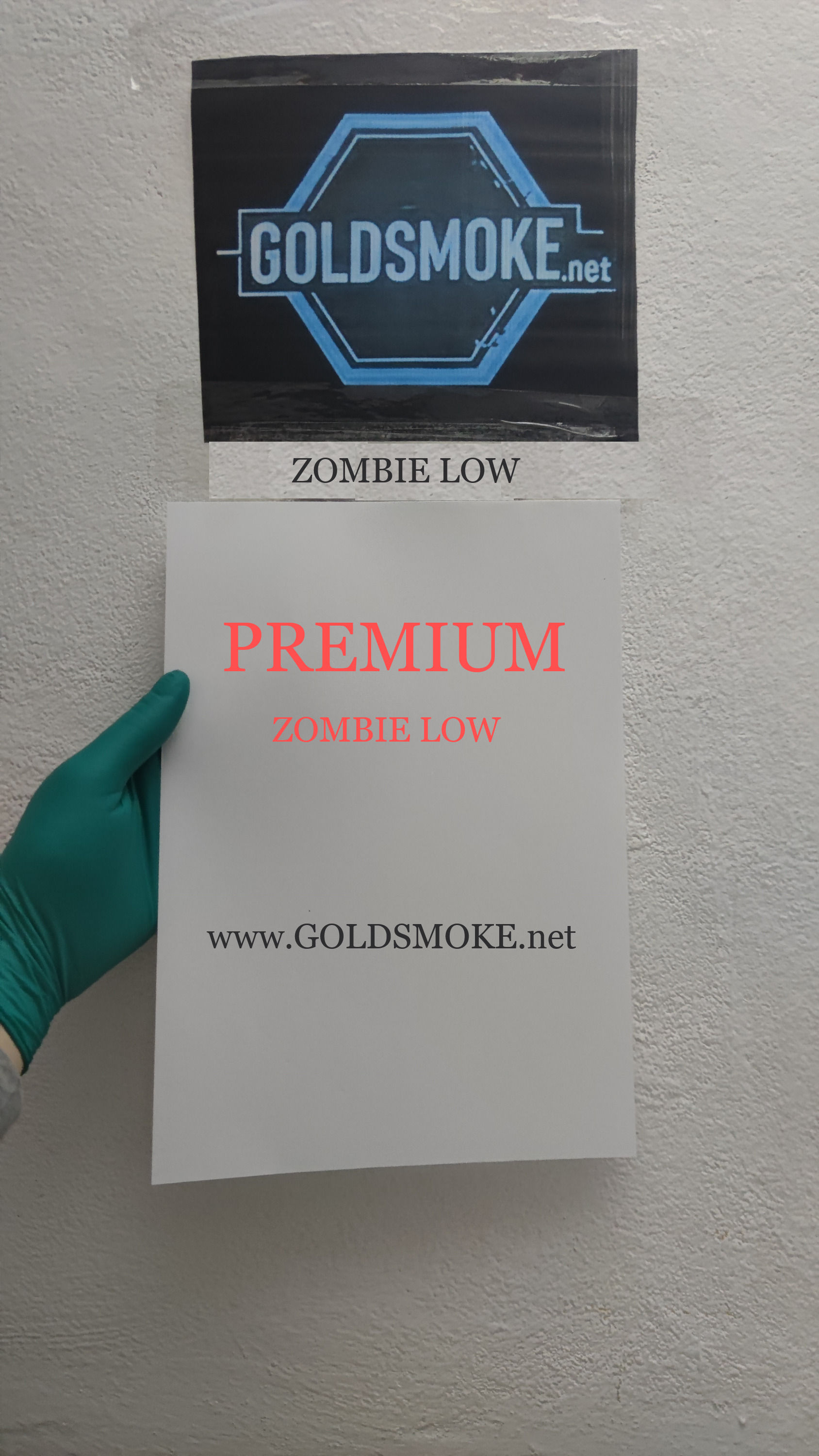K2 A4 SHEETS - ZOMBIE LOW
