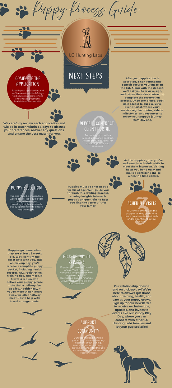 puppy Process guide_what's next_next steps.png