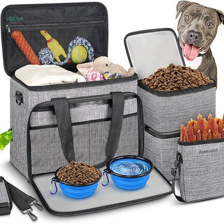 Preparing Your Dog for Travel: Training and Packing Essentials