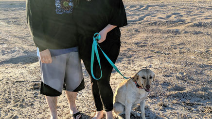 haisley on the leash on the beach