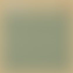 Why Every Dog Should Learn the ‘Leave It’ Command (and How to Teach It)