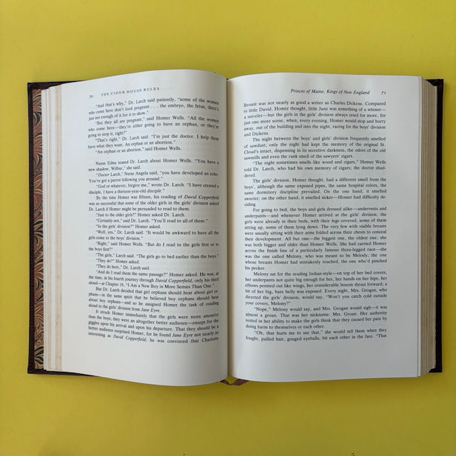 Thumbnail: John Irving, The Cider House Rules