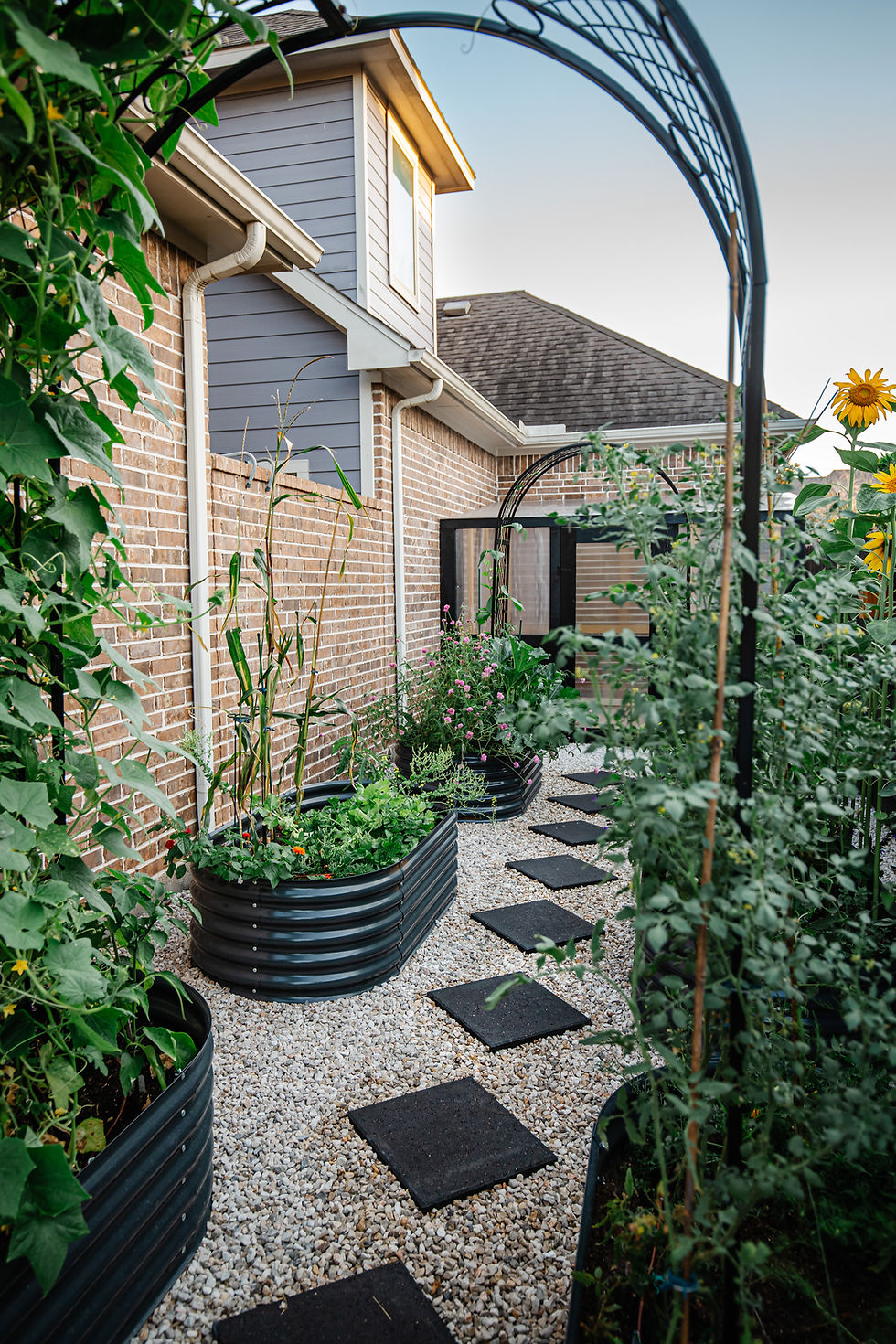 Backyard Raised garden beds